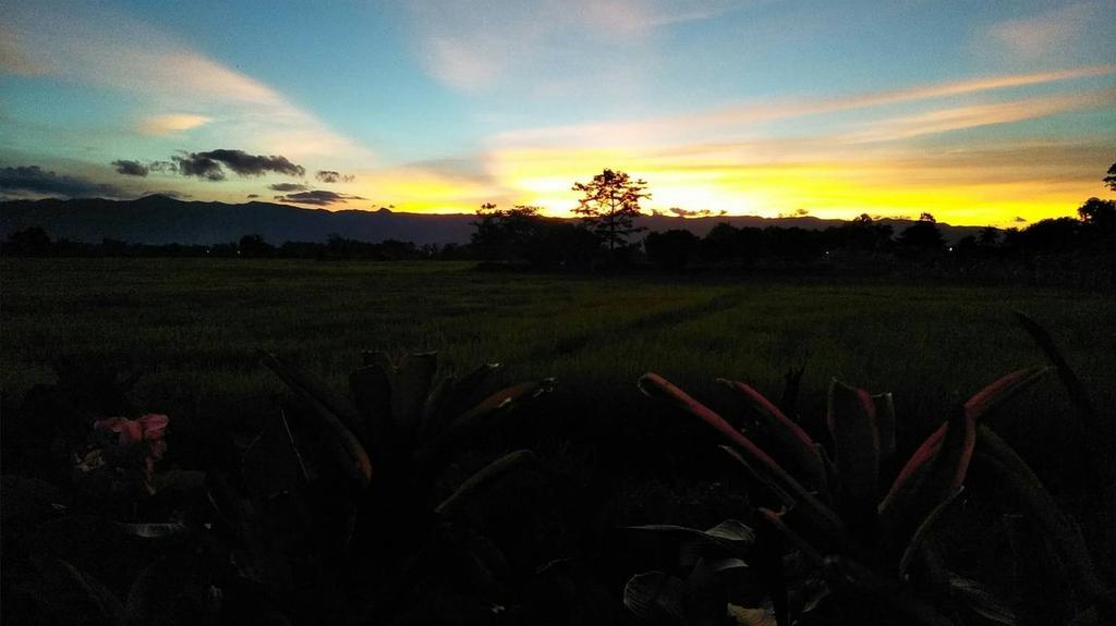 Oui Kaew Homestay พะเยา ภายนอก รูปภาพ